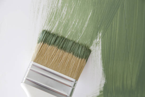 Best Mold Damage Restoration  in San Antonio, TX