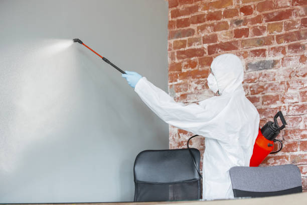 Best Residential Mold Inspection & Testing  in San Antonio, TX