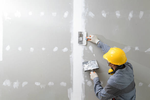 Best Post-Construction Mold Inspection  in San Antonio, TX