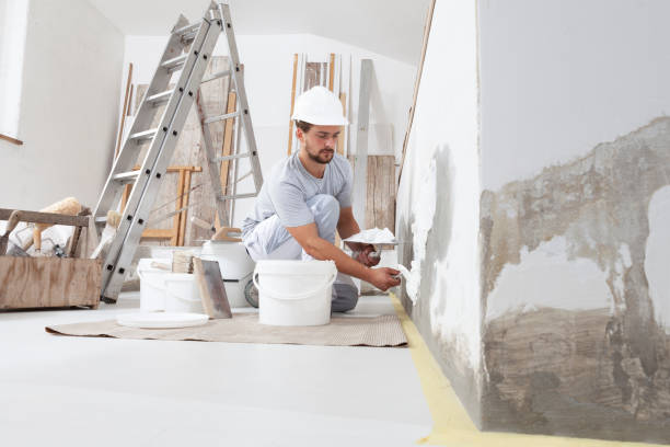 Best Mold-Related Health Consultation  in San Antonio, TX