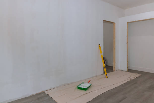 Best Black Mold Removal  in San Antonio, TX