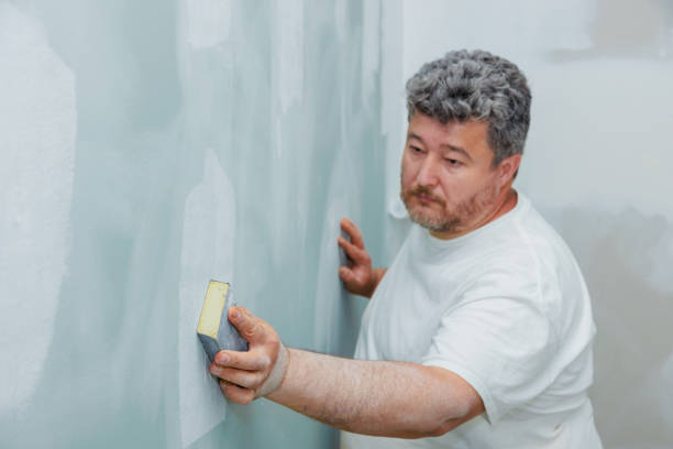 Best Emergency Mold Remediation  in San Antonio, TX