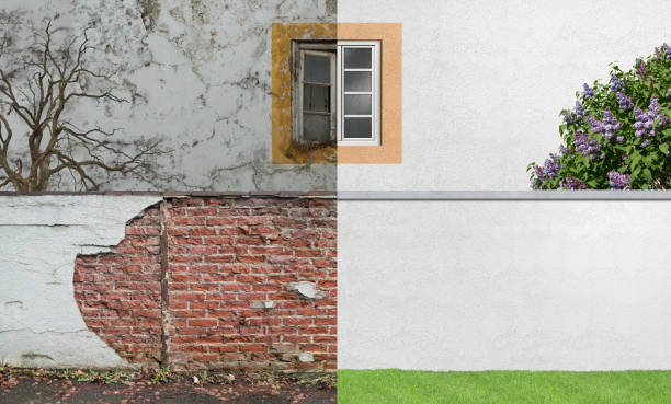 San Antonio, TX Mold Removal Company