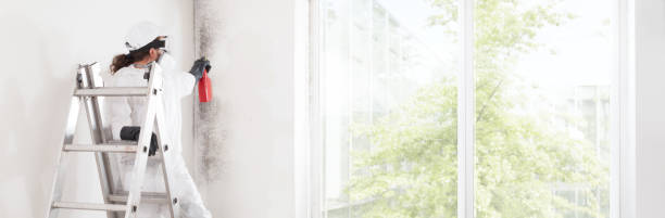 Best Water Damage & Mold Remediation  in San Antonio, TX